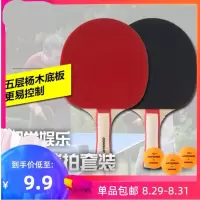 乒乓球拍单拍双拍初学级对拍学生1-6星比赛专用乒乓球拍N2