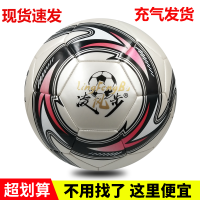 【正常发货】中小学生3号4号5号儿童足球训练比赛球耐磨成人防爆D8