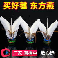 大白毽子东方燕围踢牛筋疙瘩底耐踢成人健身儿童学生比赛专用Y0