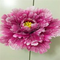 牡丹道具花运动会入场道具开幕式手拿花儿童跳舞花舞台演出花B7|40