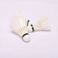 一筒 艾力特正品鹅毛羽毛球6只12只装训练比赛羽毛球稳定耐打H1|3只装耐打白羽