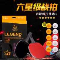 蝴蝶王传奇乒乓球拍成品拍双拍2只训练乒乓球拍直拍横拍球S8
