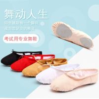 舞蹈鞋女软底练功鞋儿童成人女学生艺考瑜伽芭蕾舞跳舞鞋猫爪鞋男H4