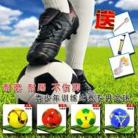 正品校园专用5号黑白足球中小学生儿童成人训练比赛耐磨防爆软皮D2