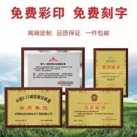 定制奖牌公司铜牌授权牌荣誉牌木托金铂奖牌代理授权牌定制科室牌G8