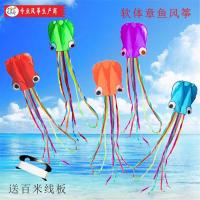 新款潍坊软体章鱼海豚风筝大型成人大人立体微风易飞儿童初学新手G5