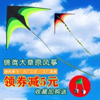 潍坊儿童成人大型高档风筝草原鹰长尾线轮初学者微风易飞2019新款M9