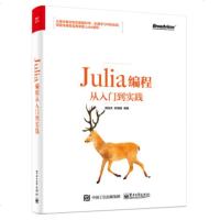 正版  :Julia编程从入到实践 9787121367052