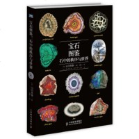 宝石图鉴:石中的秩序与世界 9787115364098 正版 货