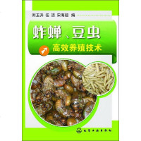 反季节养殖豆青虫技术教程书籍|豆丹豆虫豆天蛾养殖技术视频光盘