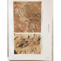 中国考古学(新石器时代卷)中国社会科学出版社 文物/考古