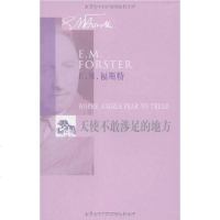 天使不敢涉足的地方