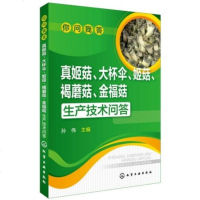 食用菌猪肚菇种植书 真姬菇大杯伞姬菇褐蘑菇金福菇生产技术问答