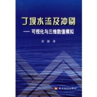 丁坝水流及冲刷——可视化与三维数值模拟