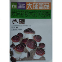 大球盖菇栽培新技术彩色图解 绝版球盖菇种植技术书籍高于标价卖