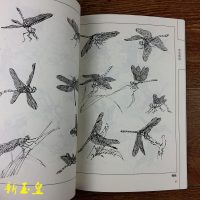 草虫图谱 国画线描白描底稿技法工笔画蝈蝈花鸟画谱临摹范本