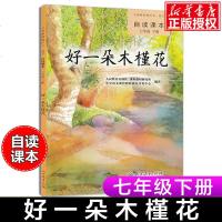 好一朵木槿花 七下语文书 自读课本7七年级下册部编人教版义务教育课程标准实验教科书7年级下册初一同步阅读自读课本课本