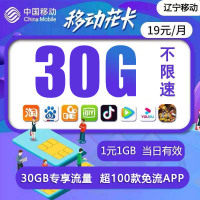 辽宁移动花卡宝藏版 畅享30GB专属流量包 上网卡全国通用手机号码