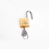 金岳SR30*铜叶片锁