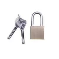 金岳 厚BR30MM 30*20*54叶片锁 (计价单位:把) 青古铜