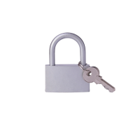 金岳 TS001Y 铜芯 30*48*11mm 铜挂锁(计价单位:个)银色