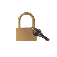 金岳 TS003Y 铜芯 30*48*11mm 铜挂锁(计价单位:个)黄色