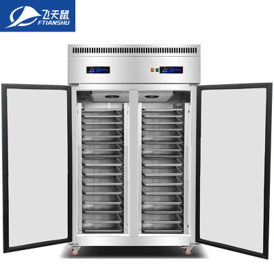 飞天鼠(FTIANSHU) 插盘式冷冻柜低温冰箱商用大容量风冷冷藏冷冻柜四门六门冰柜面团速冻机 32盘大双门单温-25°