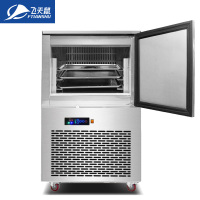 飞天鼠(FTIANSHU) 插盘式冷冻柜冰柜低温冰箱商用大容量风冷立式冷藏冷冻柜四门六门冰柜面团速冻机 3盘冷冻-40°