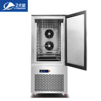 飞天鼠(FTIANSHU) 插盘式冷冻柜冰柜低温冰箱商用大容量风冷立式冷藏冷冻柜四门六门冰柜面团速冻机12盘冷冻-40°