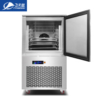 飞天鼠(FTIANSHU) 插盘式冷冻柜冰柜低温冰箱商用大容量风冷立式冷藏冷冻柜四门六门冰柜面团速冻机 6盘冷冻-40°