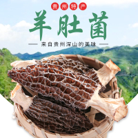 羊肚菌干货特级特产煲汤食材营养新鲜菇类蘑菇菌类250g