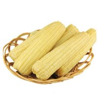 豆果果 甜糯白玉米(B级棒)40根