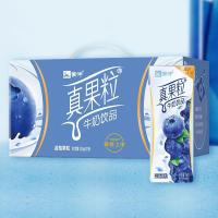 【整箱】蒙牛真果粒（蓝莓味）牛奶饮品250ml*12盒