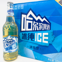 [整箱]哈尔滨冰纯啤酒500ml*12瓶(新老包装随机发货)