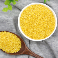 永联盛 有机小米500g