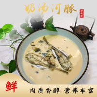 老戚浦河鲀鱼食用即食奶汤河鲀已处理800g现杀无毒河鲀鱼
