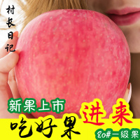 脆甜新鲜苹果水果山东烟台栖霞红富士特产5斤苹果脆