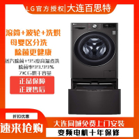 LG FQ13BVW 13.2KG双擎同步分类带烘干滚筒洗衣机DD电机蒸汽除菌