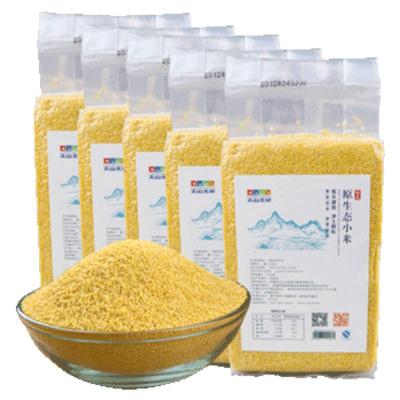 新疆黄小米5斤装 五谷杂粗粮吃的小米粥农家米脂新米