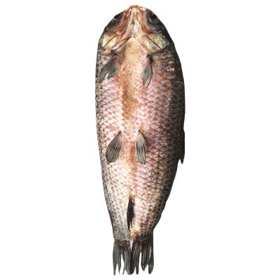 [6斤整条]青鱼干风干整条带齿大鱼干手工腌制咸腊鱼块