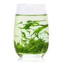 高山云雾绿茶 明前春茶2021新茶 茶叶绿茶高山炒青绿茶毛尖茶浓香耐泡散装袋装250克