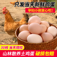 草鸡蛋正宗土鸡蛋山林放养柴鸡蛋月子蛋农家散养笨鸡蛋30枚