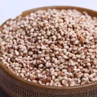 5斤红高粱米去皮高粱米黏高梁米农家杂粮煲粥酿酒 2500g