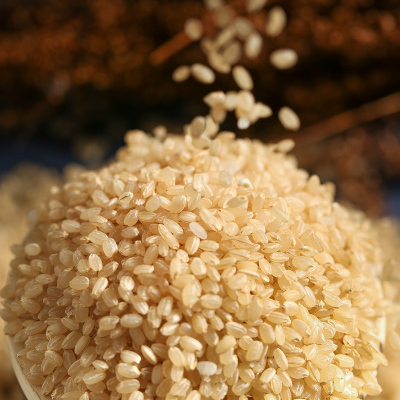 东北糙米新米5kg10斤盘锦糙米饭健身脂减糟米粗粮慥米杂粮