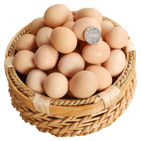 农村正宗土鸡蛋草鸡蛋柴鸡蛋农家新鲜自养笨鸡蛋孕妇鸡蛋40枚