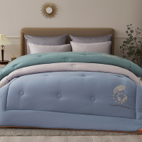 婵思 空灵大豆纤维冬被空灵(松针灰) 200*230cm约4斤