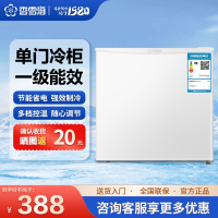 香雪海 立式冰柜 家用迷你全冷冻冰柜 一级能效 母乳储存 侧开门冰箱BD-45雪山白