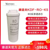 康道夫KDF-RO-K5大眼双水滤芯 RO膜滤芯 集成水路滤芯