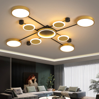 苏宁优购  北欧吸顶灯新款金色客厅灯具现代简约大气卧室灯个性创意套餐