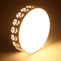 苏宁优购  主卧室灯 简约圆形LED吸顶灯现代客厅灯家用温馨浪漫房间阳台灯具